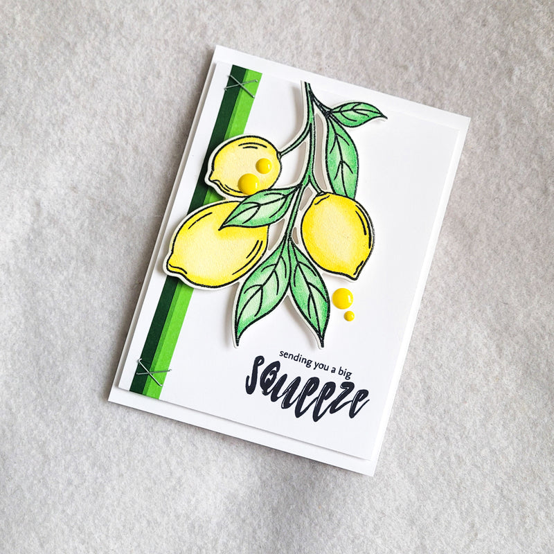 Sending You a Big Squeeze With the Zesty Life Bundle!