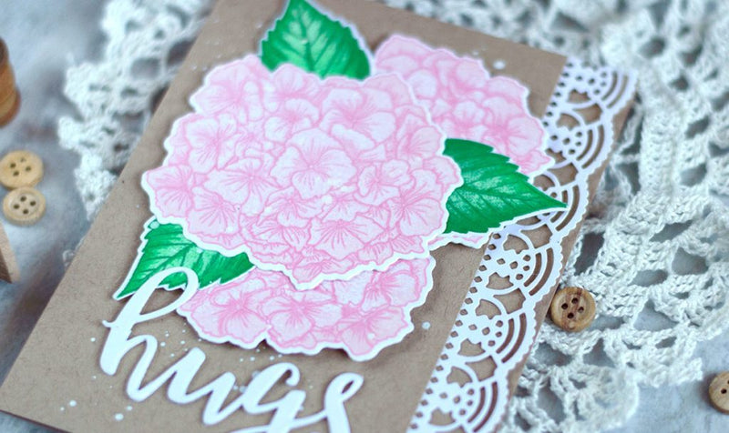 Elegant Hydrangea