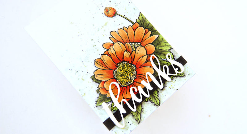 One Layer Stamping and Artist Marker Coloring Video Tutorial – Creative Coloring with Erum