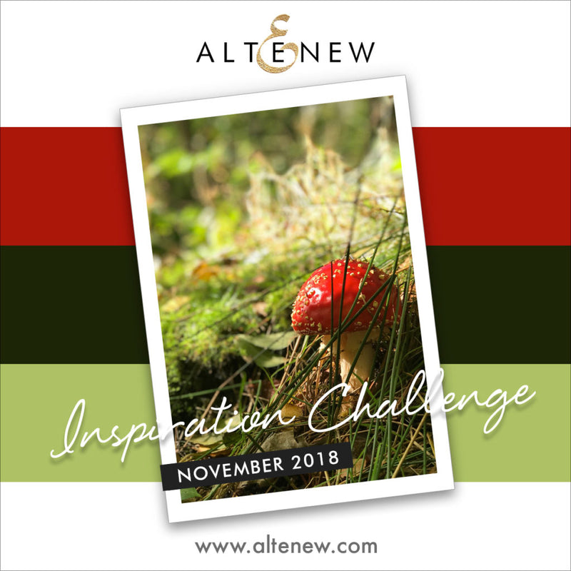 November 2018 Inspiration Challenge