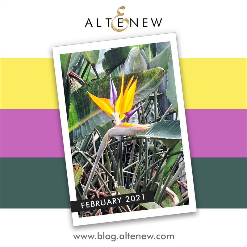 Time for a BEAUTIFUL Flower to INSPIRE in this Challenge + Video!