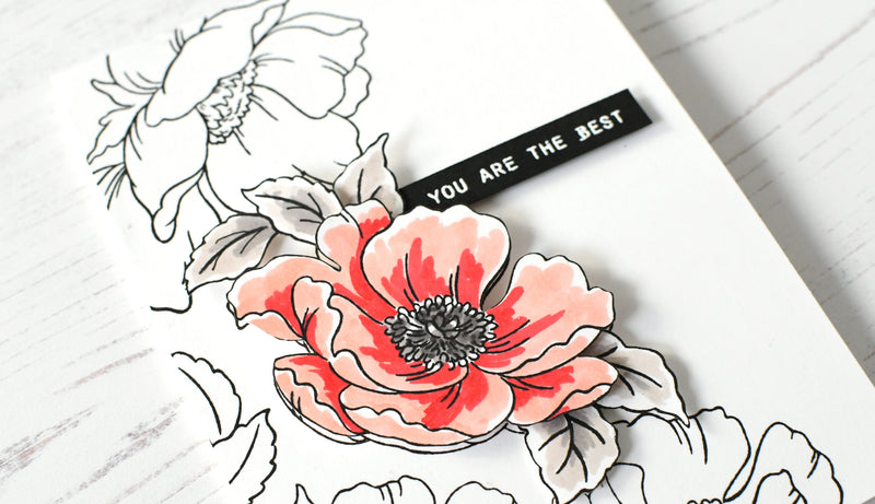 November 2019 Stamp/Die/Mask Stencil Release Blog Hop + Giveaway