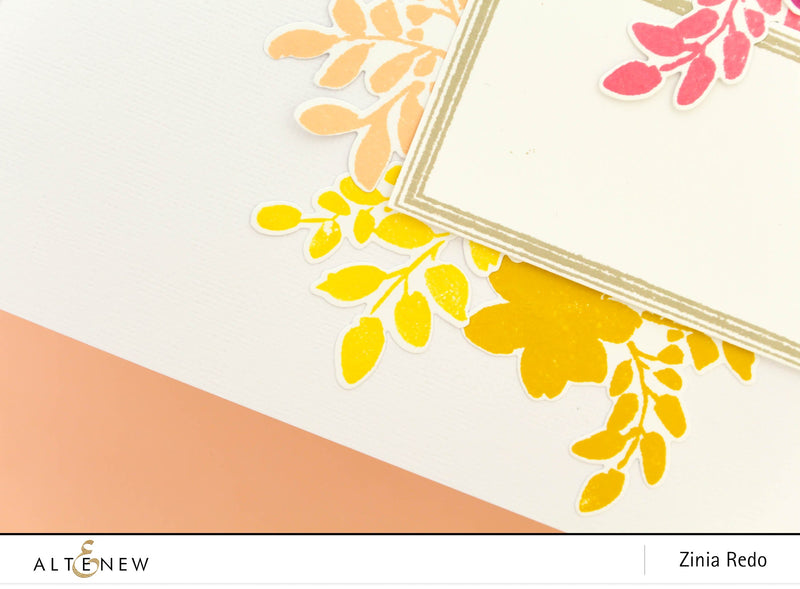 Video: Rainbow Floral Frames Layout