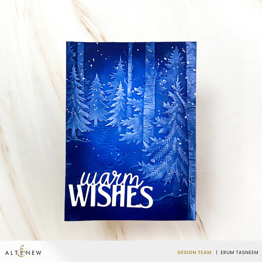 Snowy Footpath 3D Embossing Folder