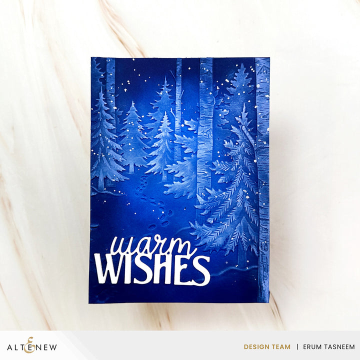 Snowy Footpath 3D Embossing Folder