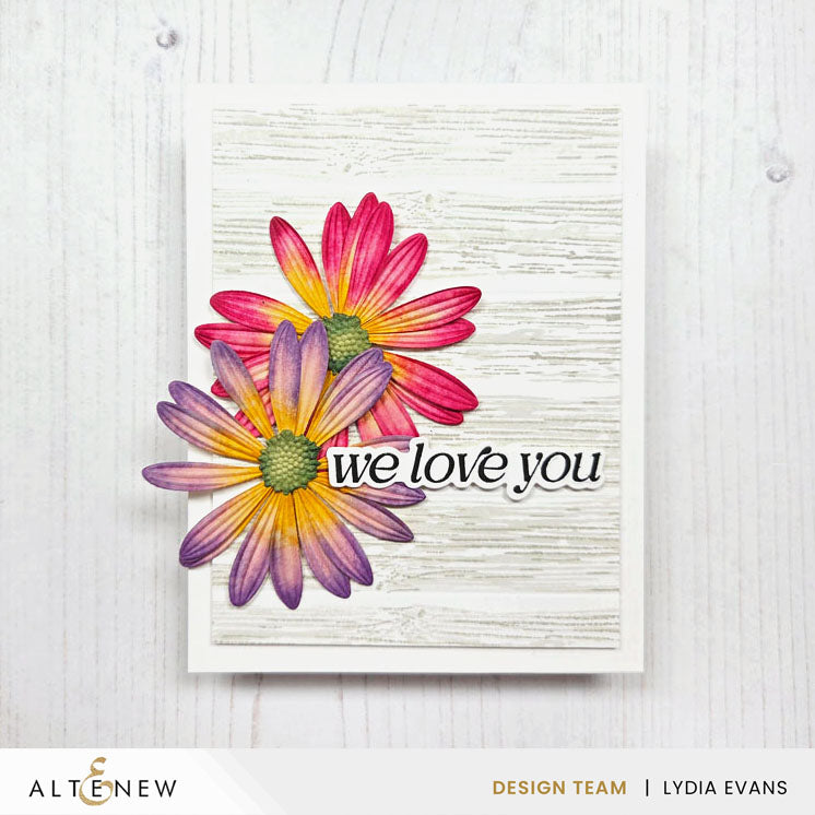 Lush Botanicals: African Daisy 3D Embossing Folder & Die Set - Altenew