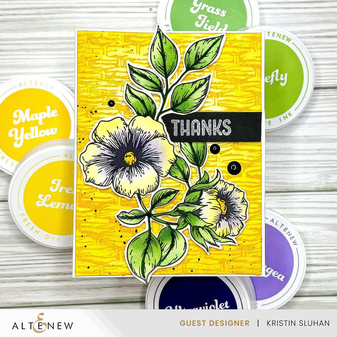 July 2024 Betterpress Plates Release Bundle