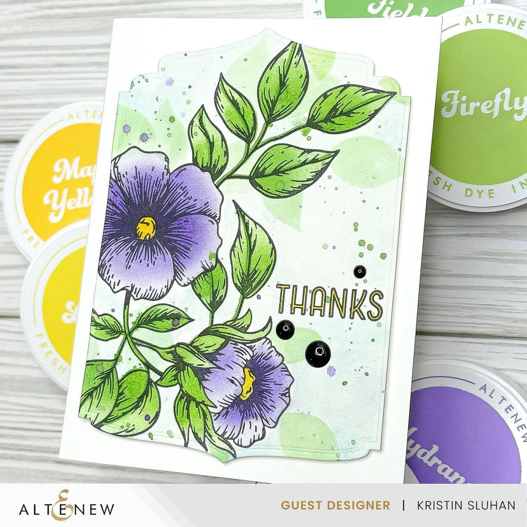 July 2024 Betterpress Plates Release Bundle