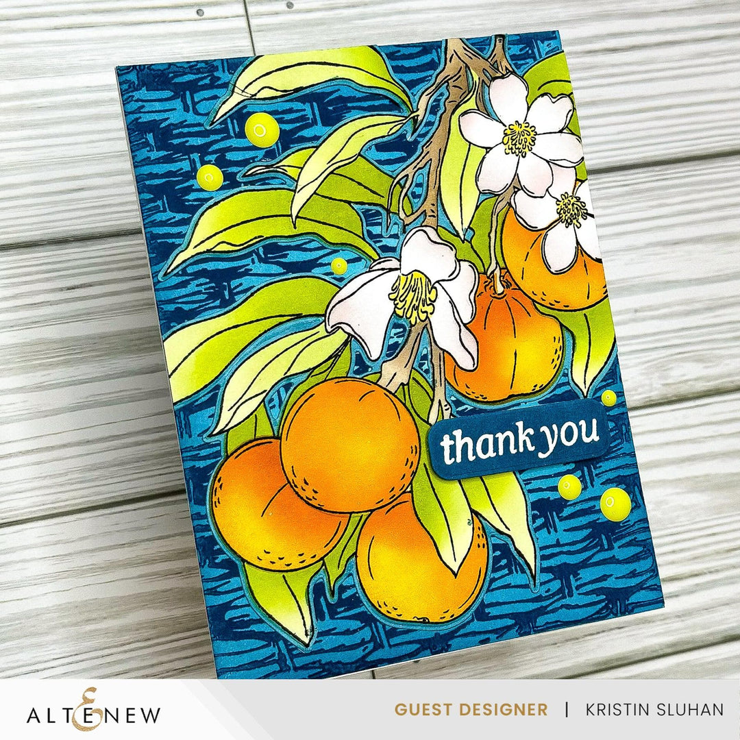 July 2024 Betterpress Plates Release Bundle