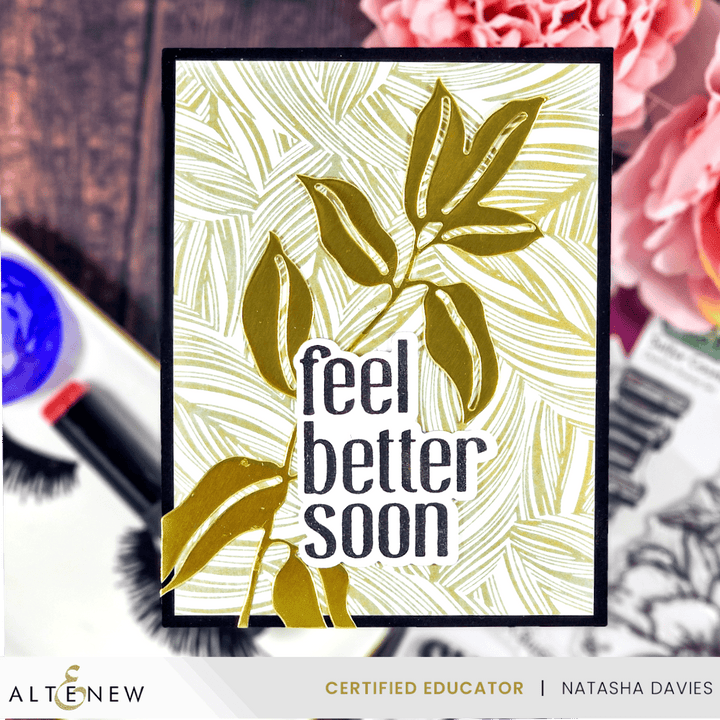 July 2024 Betterpress Plates Release Bundle