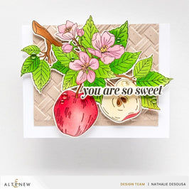 Seasonal Splendors Press Plate Bundle