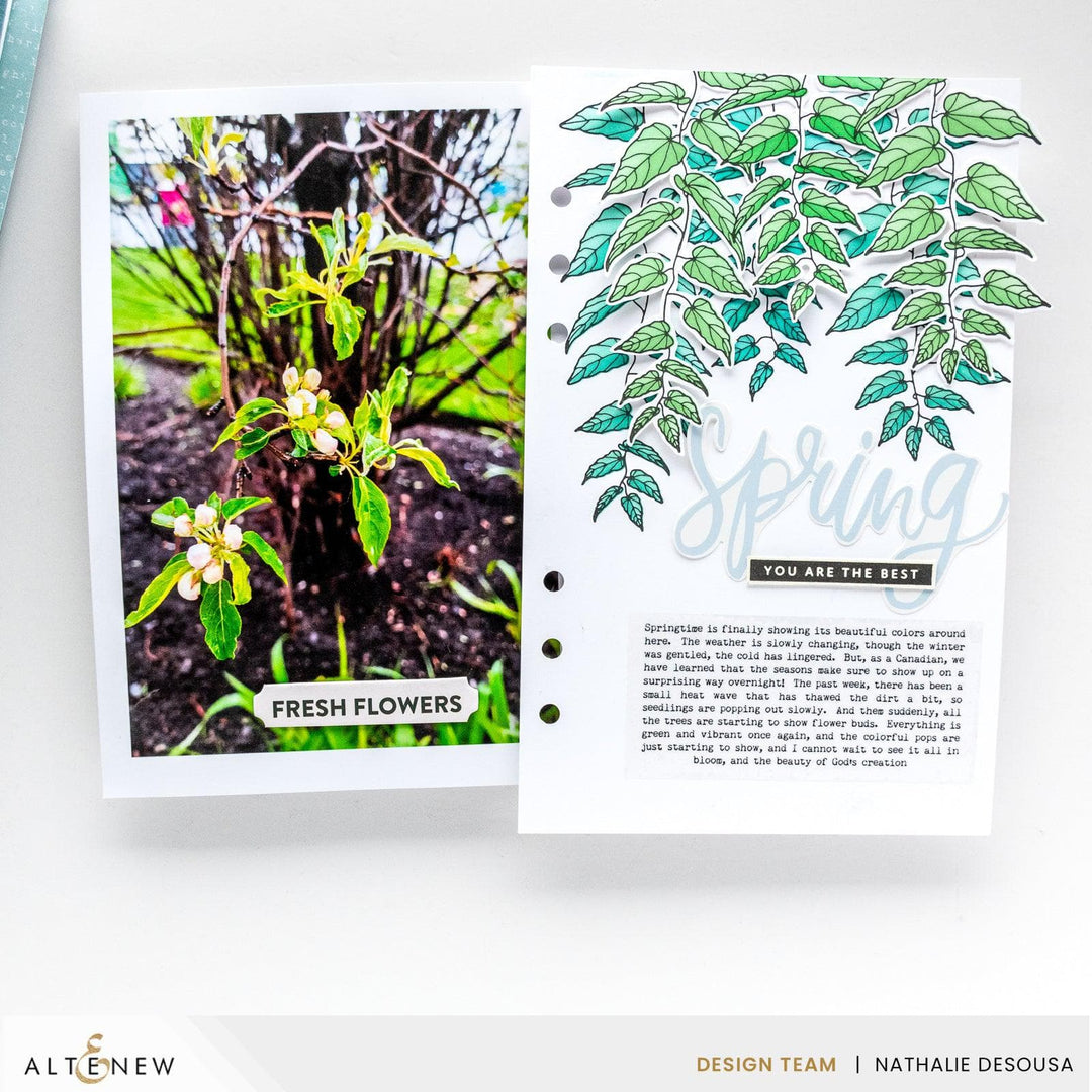 Cascading Vines Press Plate Set