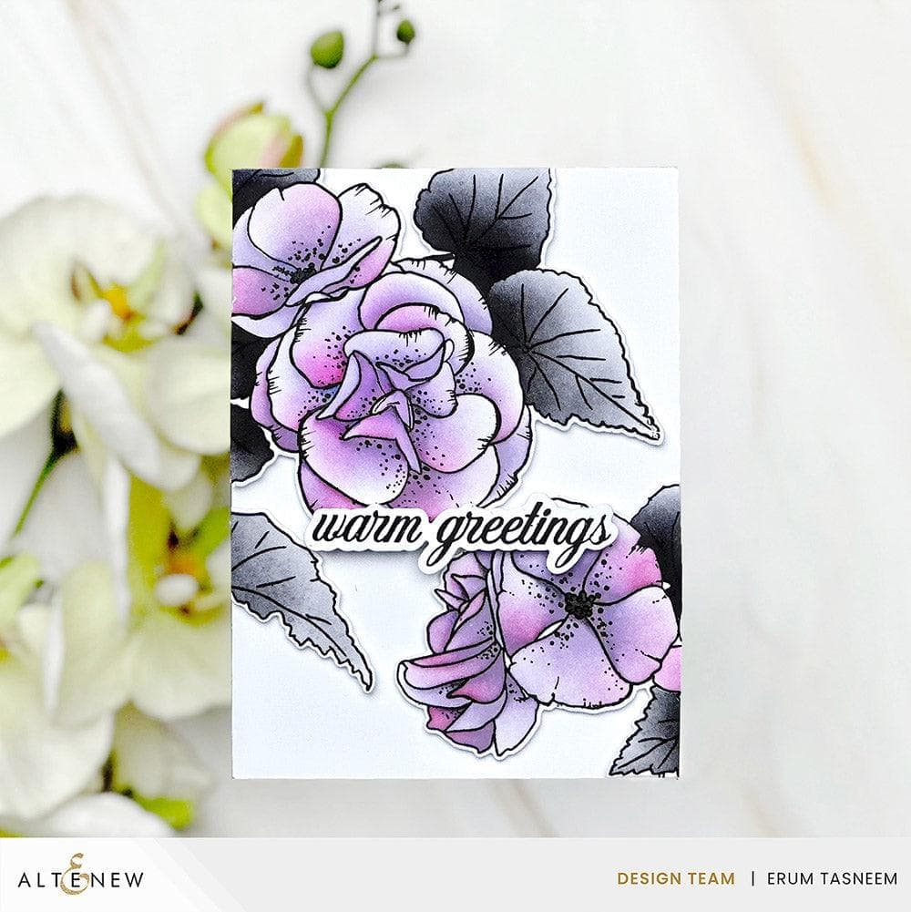 Build-A-Garden: Frilly Begonia