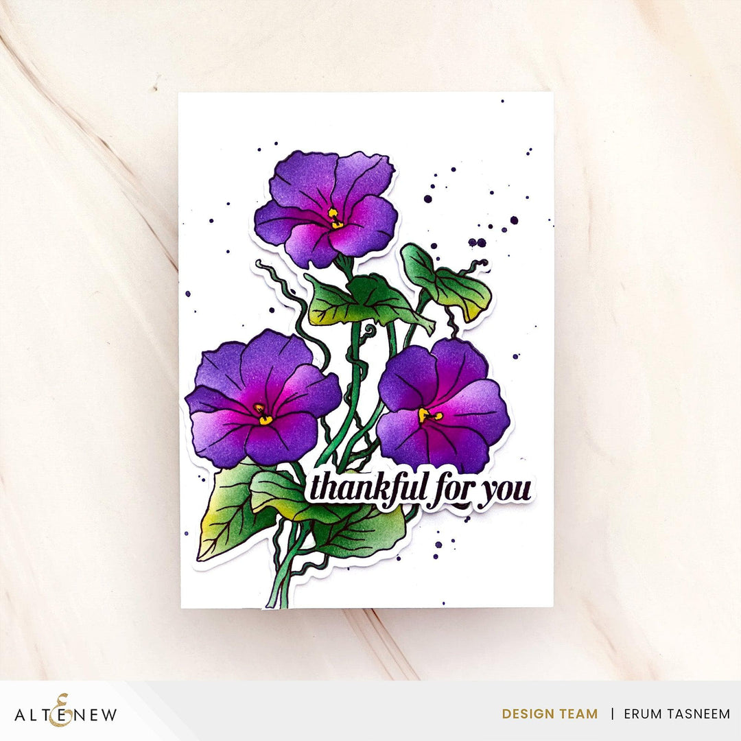 Build-A-Garden: Morning Glory