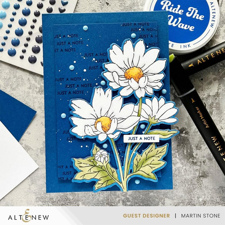 Build-A-Garden: Oxeye Daisy