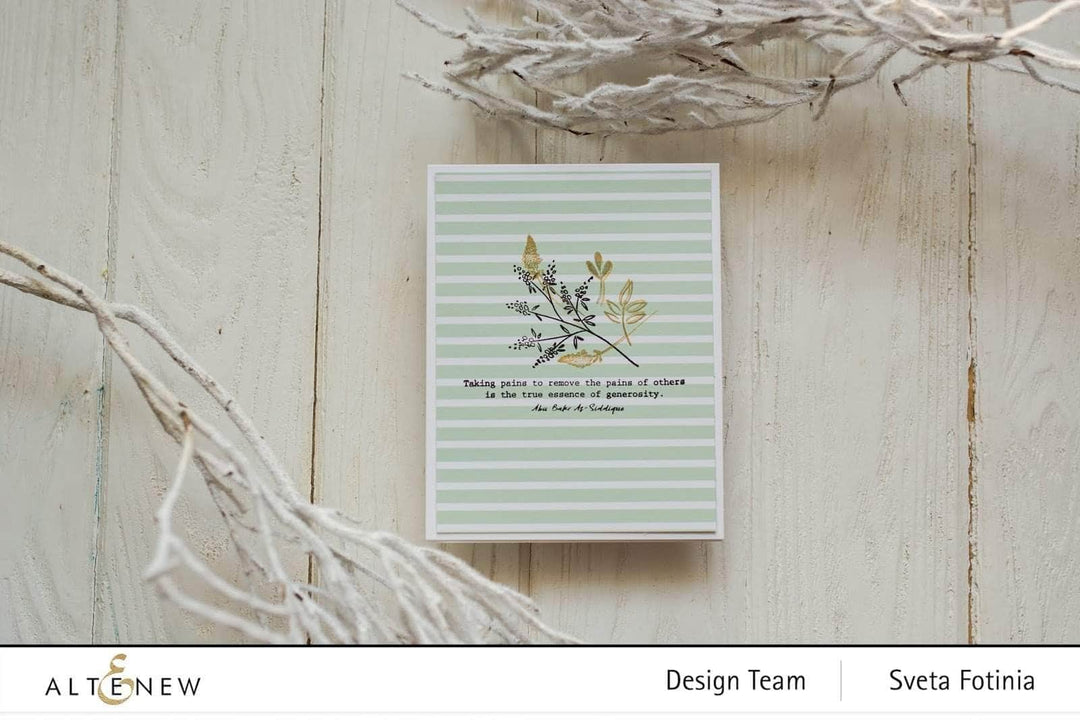 Photocentric Clear Stamps All Things Orange Stamp Set
