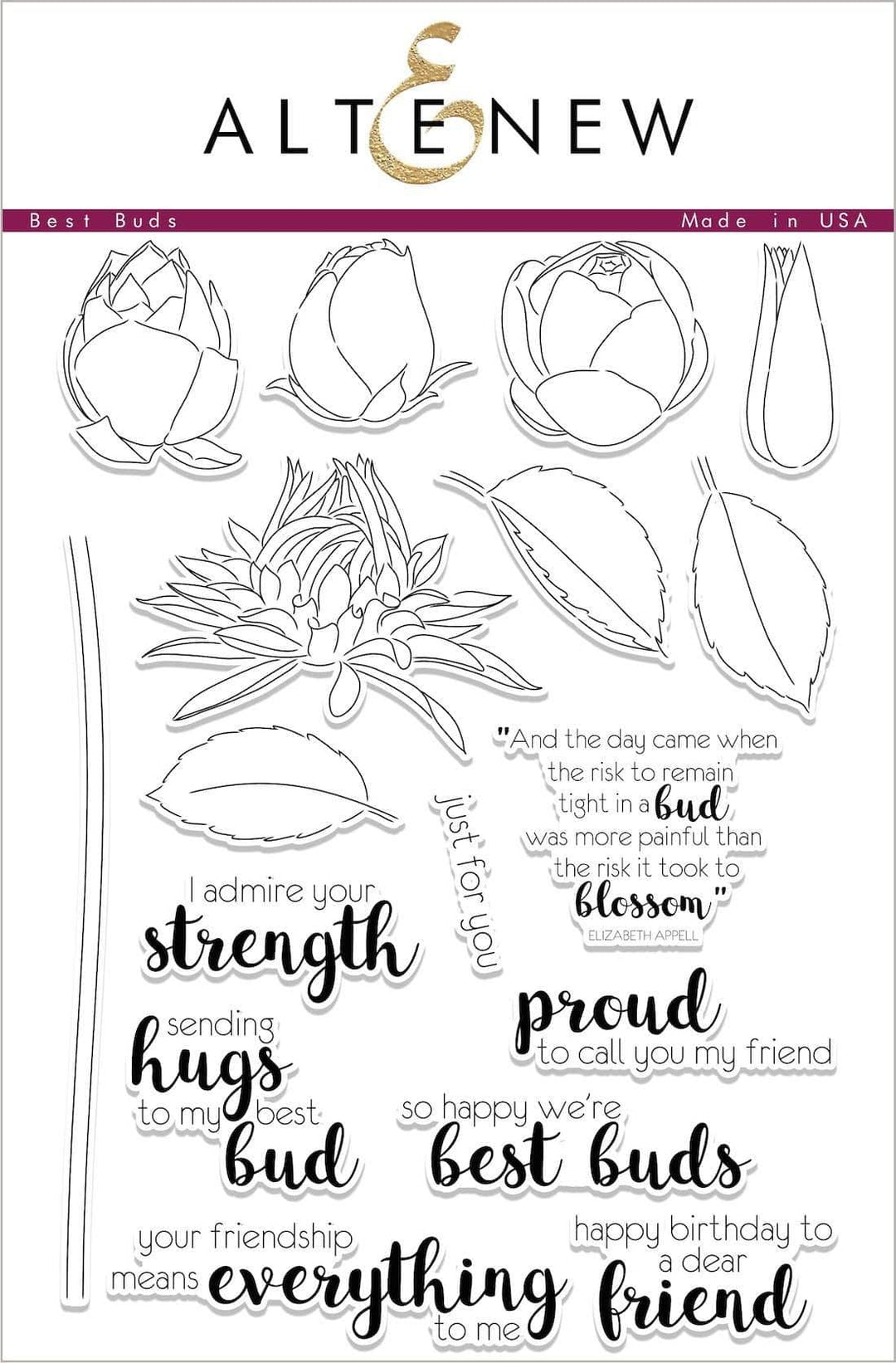 Photocentric Clear Stamps Best Buds Stamp Set