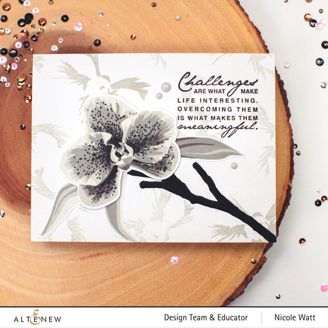 Photocentric Clear Stamps Block Sentiments Stamp Set