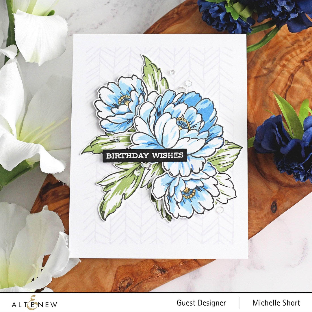 Photocentric Clear Stamps Book Engravings Stamp Set