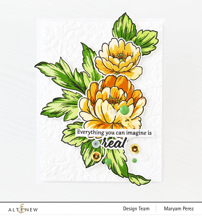 Photocentric Clear Stamps Book Engravings Stamp Set