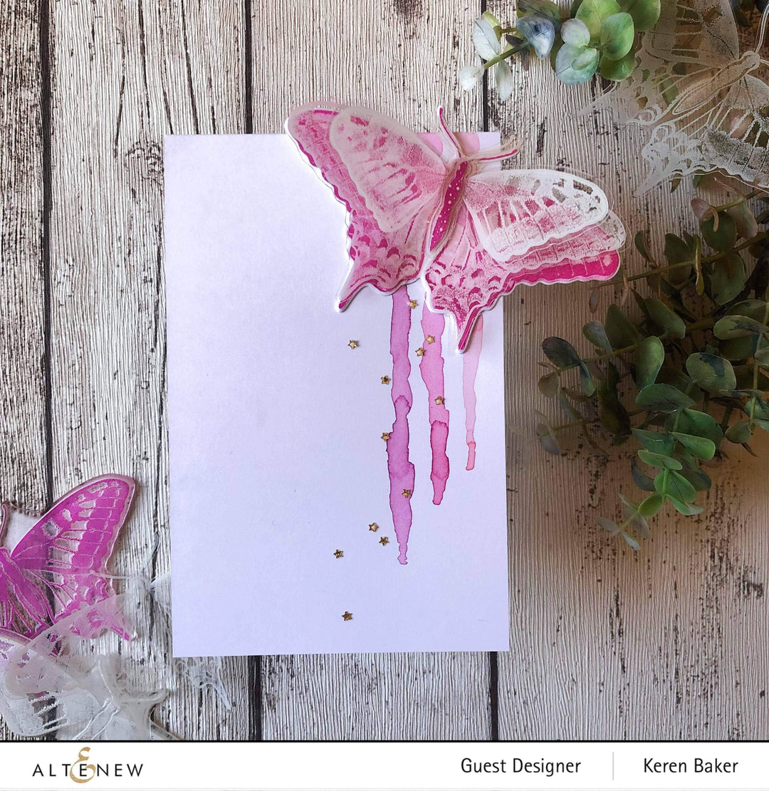 Photocentric Clear Stamps Dovetail Butterflies Stamp Set