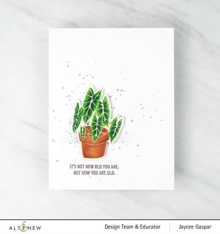 Photocentric Clear Stamps Elegant Alocasia Stamp Set