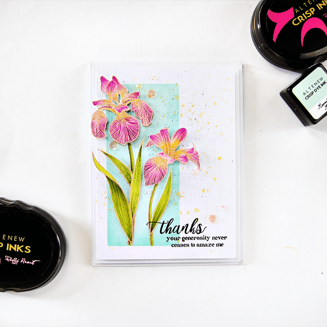 Photocentric Clear Stamps Enchanted Iris Stamp Set