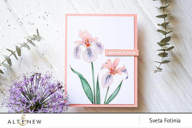 Photocentric Clear Stamps Enchanted Iris Stamp Set