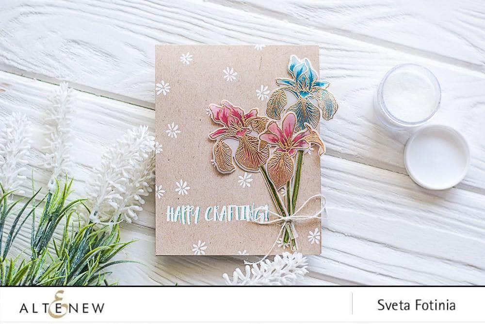 Photocentric Clear Stamps Enchanted Iris Stamp Set