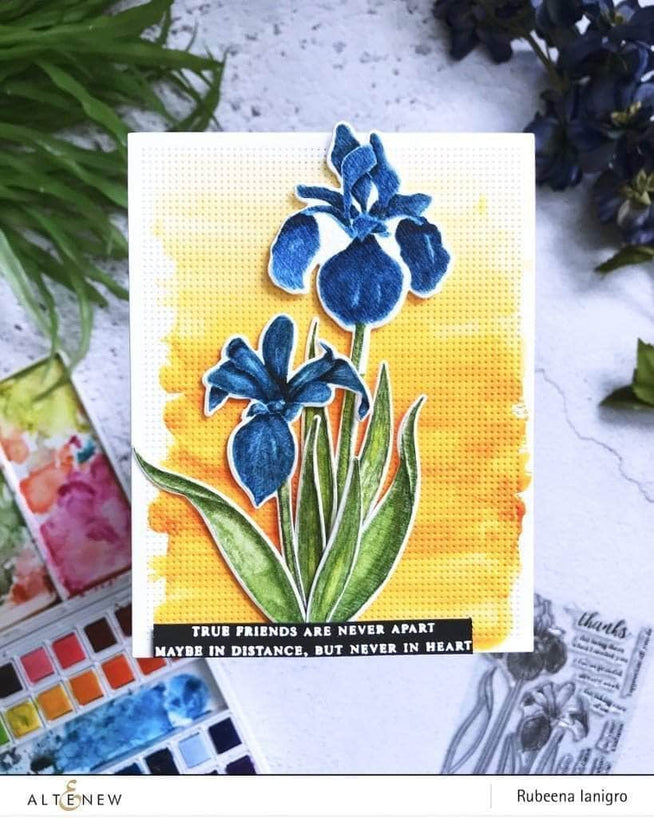 Photocentric Clear Stamps Enchanted Iris Stamp Set