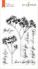 PMA Industries, Inc. Clear Stamps Fragile Foliage Stamp Set