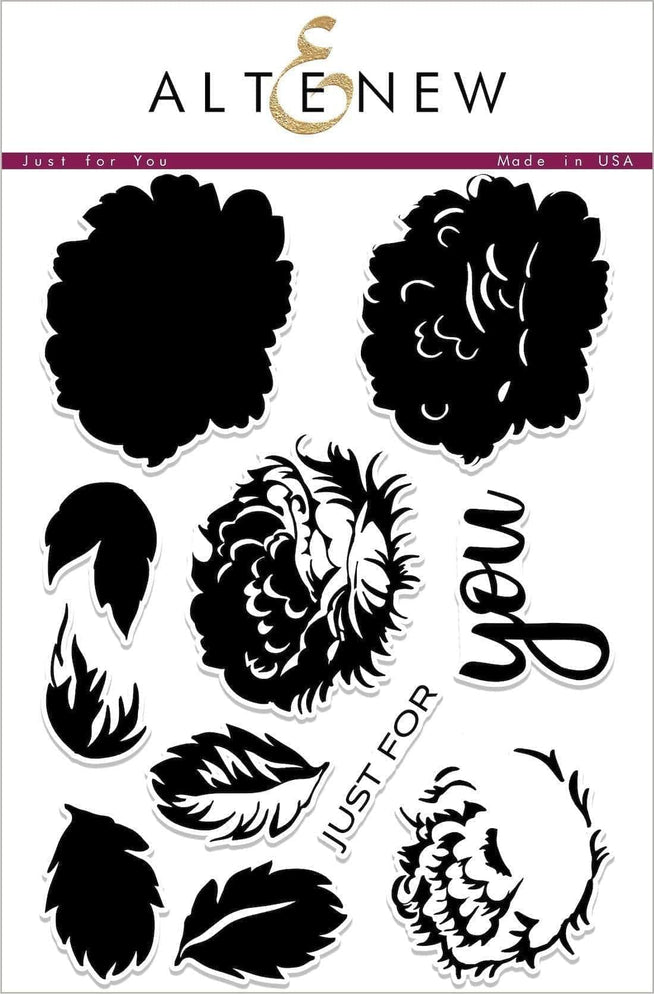 Photocentric Clear Stamps Just For You Stamp Set