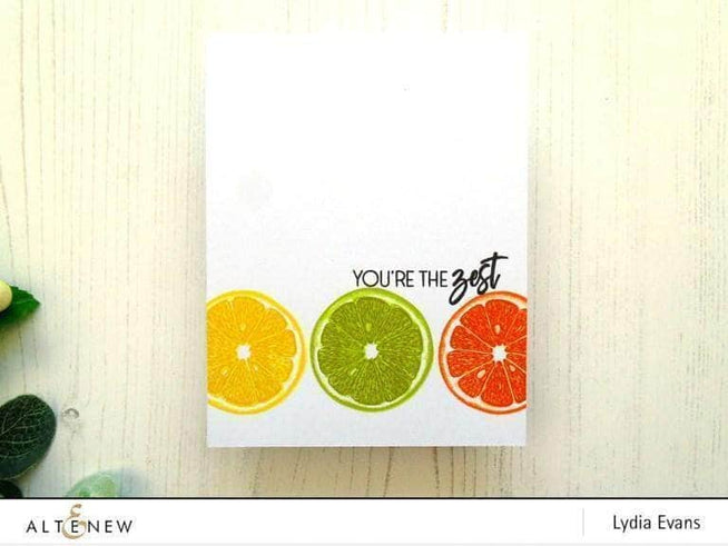 Photocentric Clear Stamps Main Squeeze Stamp Set