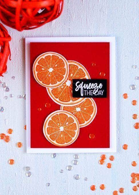 Photocentric Clear Stamps Main Squeeze Stamp Set