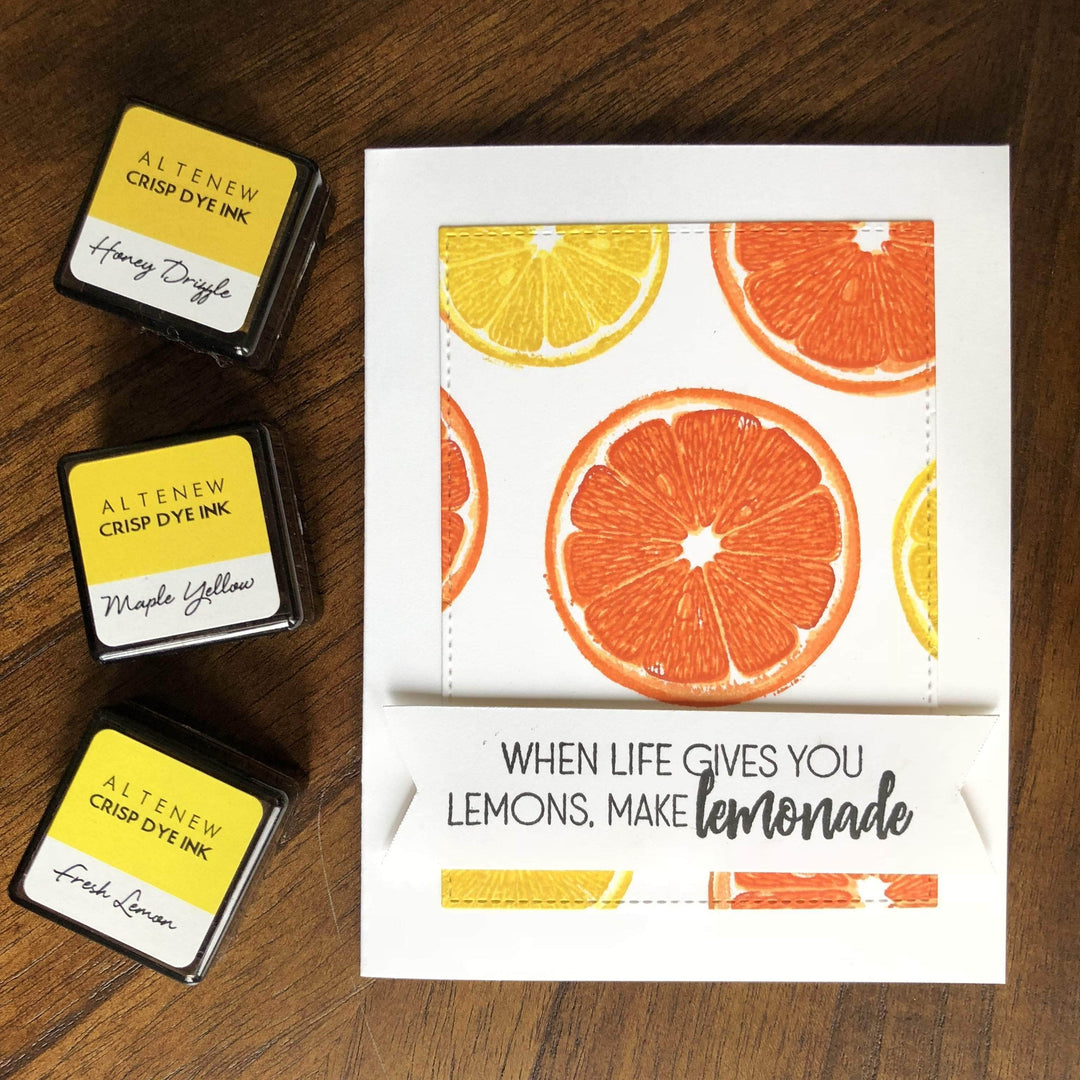 Photocentric Clear Stamps Main Squeeze Stamp Set