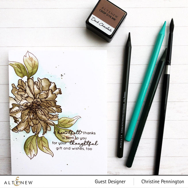Photocentric Clear Stamps Paint-A-Flower: Camellia Outline Stamp Set