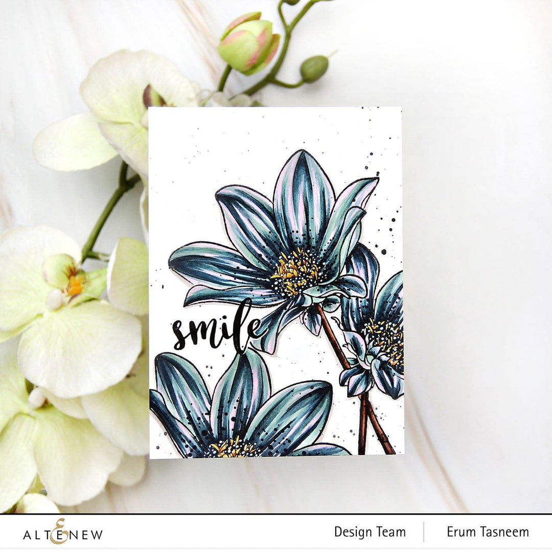 Photocentric Clear Stamps Paint-A-Flower: Dahlia Bright Eyes Outline Stamp Set