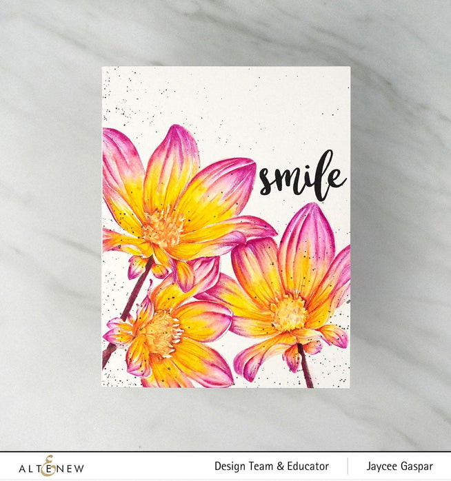 Photocentric Clear Stamps Paint-A-Flower: Dahlia Bright Eyes Outline Stamp Set