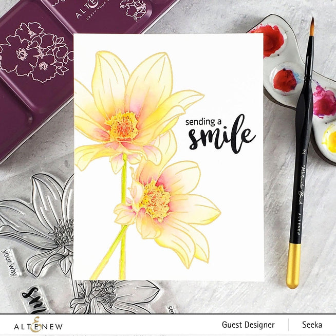 Photocentric Clear Stamps Paint-A-Flower: Dahlia Bright Eyes Outline Stamp Set
