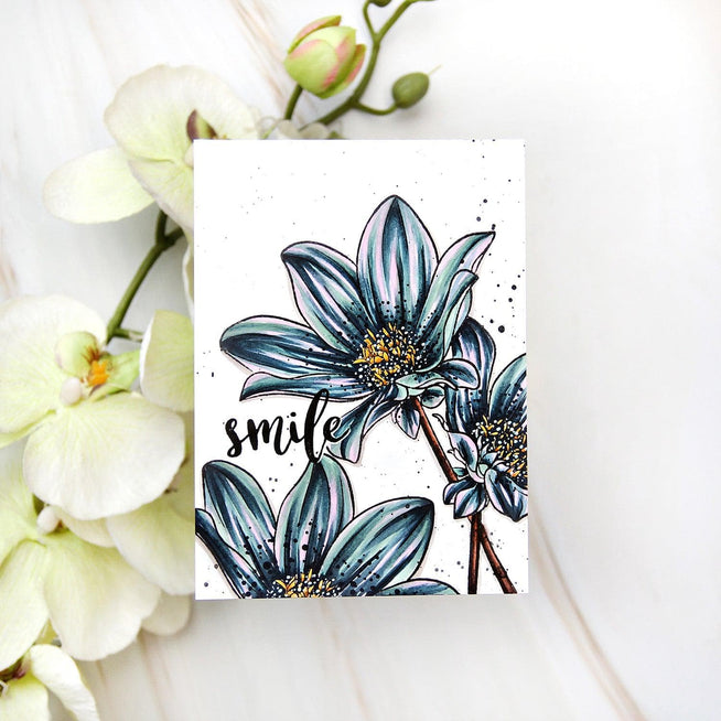 Photocentric Clear Stamps Paint-A-Flower: Dahlia Bright Eyes Outline Stamp Set