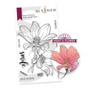 Photocentric Clear Stamps Paint-A-Flower: Dahlia Bright Eyes Outline Stamp Set