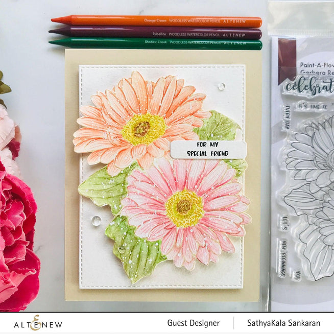 Photocentric Clear Stamps Paint-A-Flower: Gerbera Revolution Outline Stamp Set