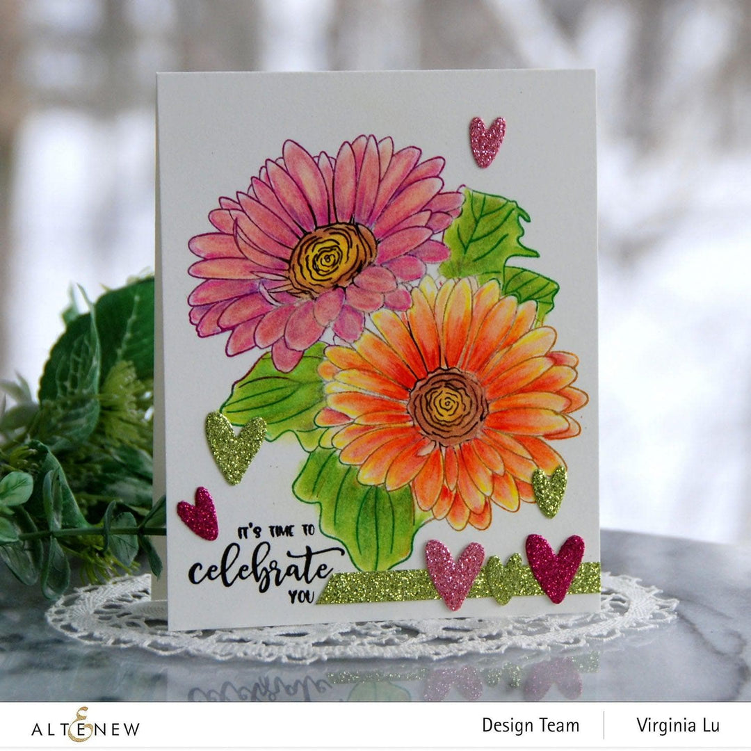 Photocentric Clear Stamps Paint-A-Flower: Gerbera Revolution Outline Stamp Set