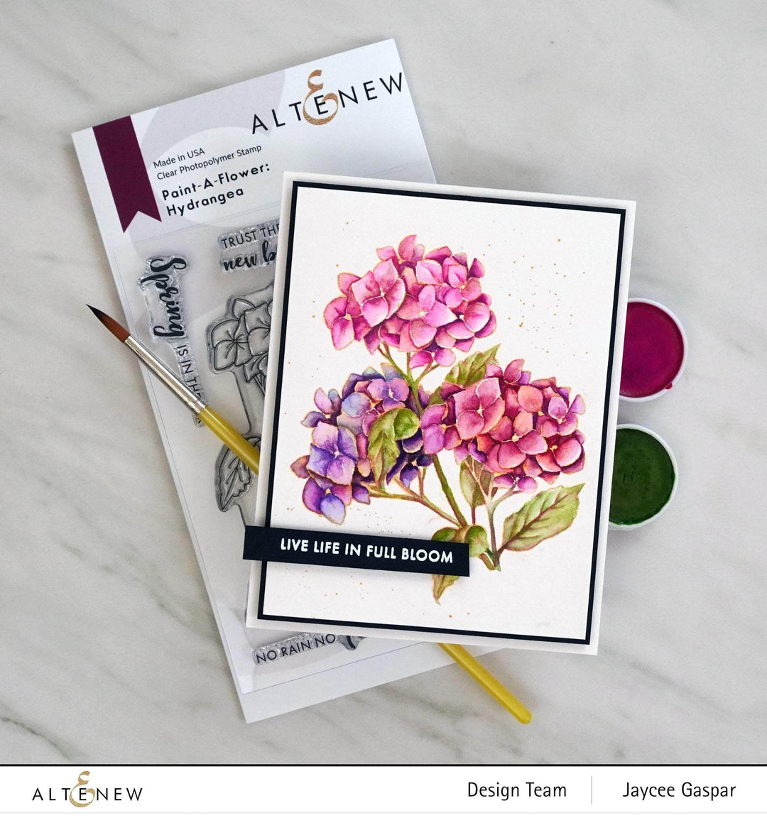 Photocentric Clear Stamps Paint-A-Flower: Hydrangea Outline Stamp Set
