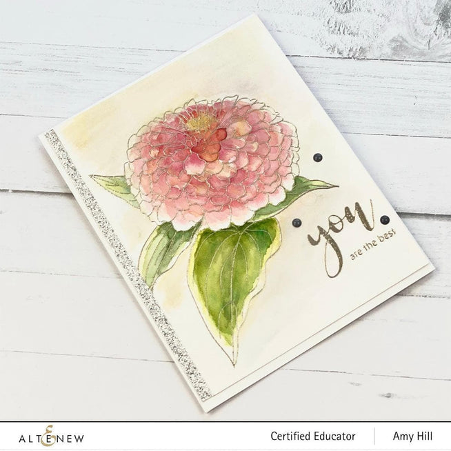 Photocentric Clear Stamps Paint-A-Flower: Zinnia Magellan Rose Outline Stamp Set