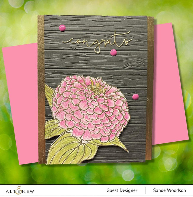 Photocentric Clear Stamps Paint-A-Flower: Zinnia Magellan Rose Outline Stamp Set