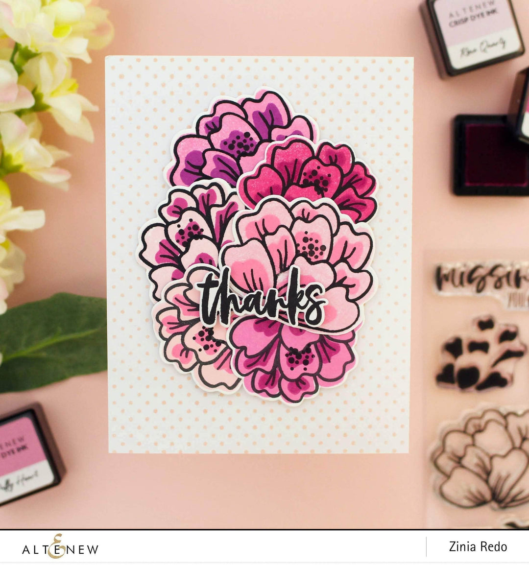 Photocentric Clear Stamps Playful Blooms Stamp Set