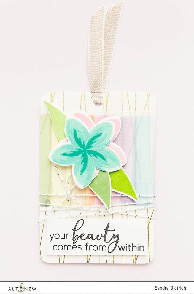 Photocentric Clear Stamps Playful Plumeria Stamp Set