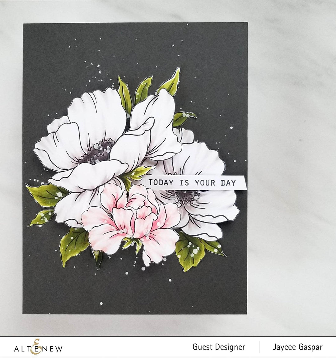 Poppy Garden Stamp Set
