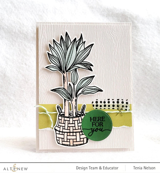 Photocentric Clear Stamps Pots and Plants Stamp Set